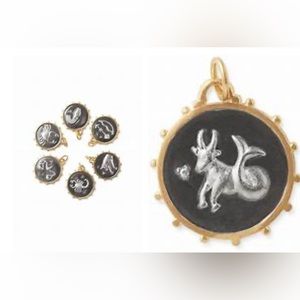Stella & Dot Capricorn Charm